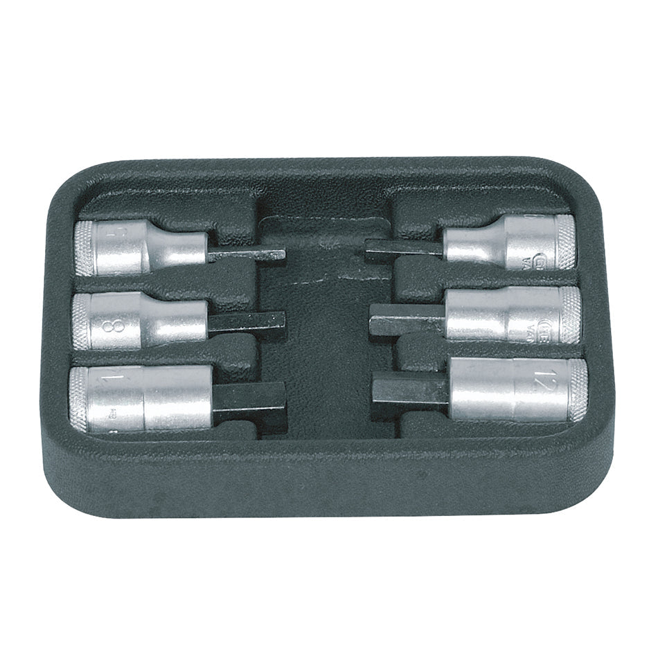 IN19 PM6 / PA6 Socket Sets 1/2"