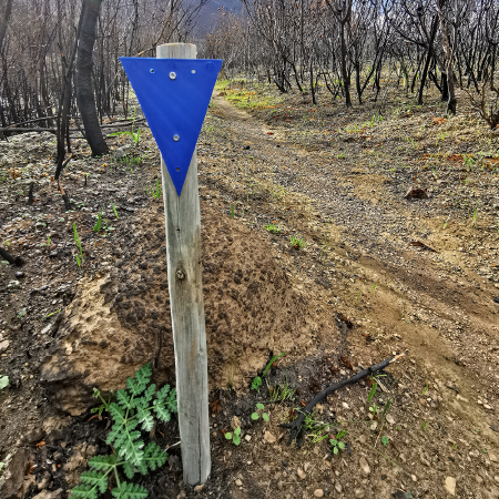 Triangle Trail Markers - GeoPro Supplies