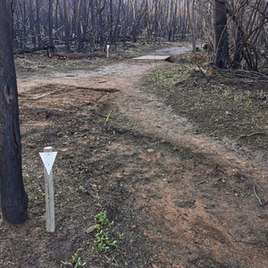 Triangle Trail Markers