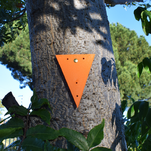 Triangle Trail Markers